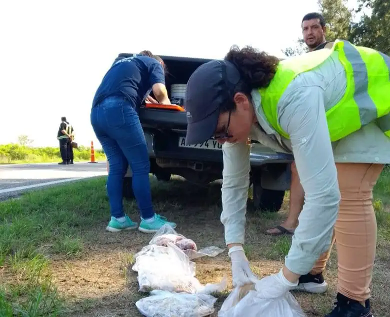 Ambiente refuerza controles en Semana Santa