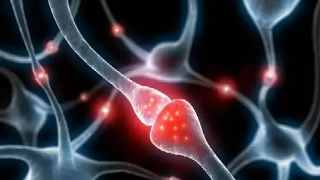 Líquido cerebral joven o el tónico de la eterna juventud, la última apuesta para curar el alzhéimer