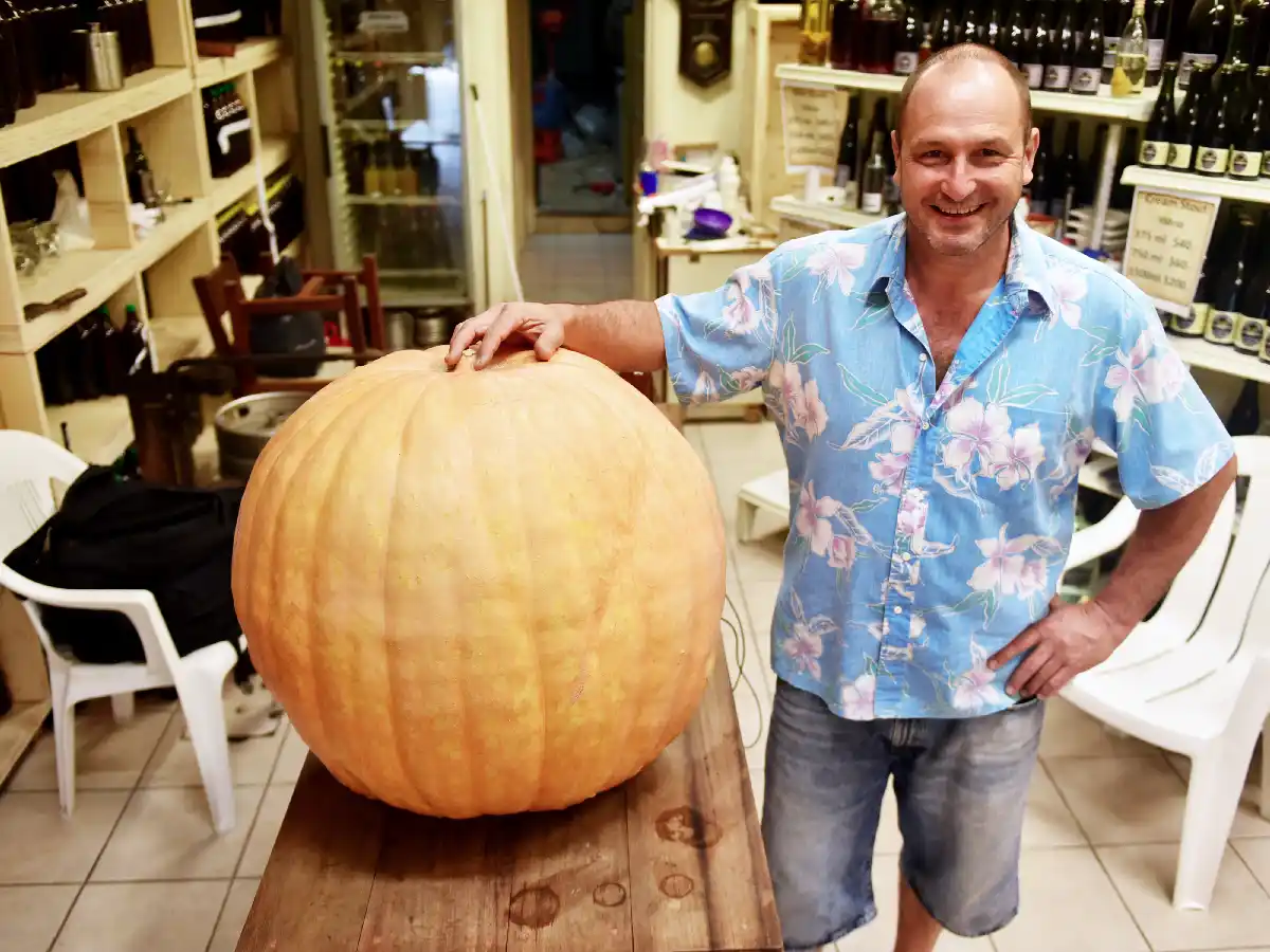 El zapallo más grande que vi en mi vida   