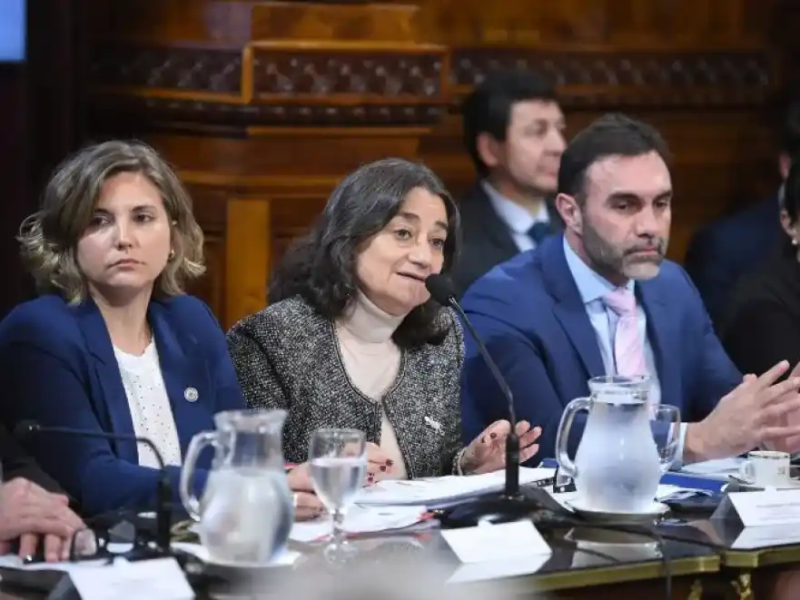 Con dos dictámenes en la Cámara alta avanzó la emergencia sanitaria en el Garrahan