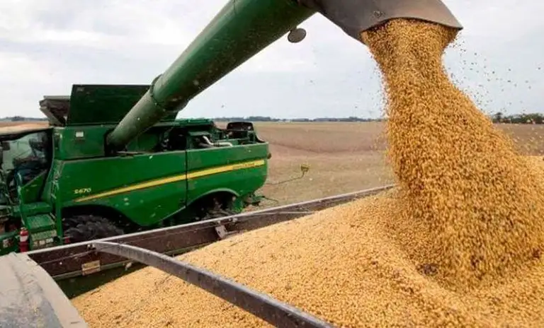 Buryaile: “El sector agropecuario está 
estancado, es necesario sacar las retenciones”