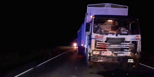 A dos kilómetros de Urdinarran: Un camión chocó dos caballos en la Ruta 20
