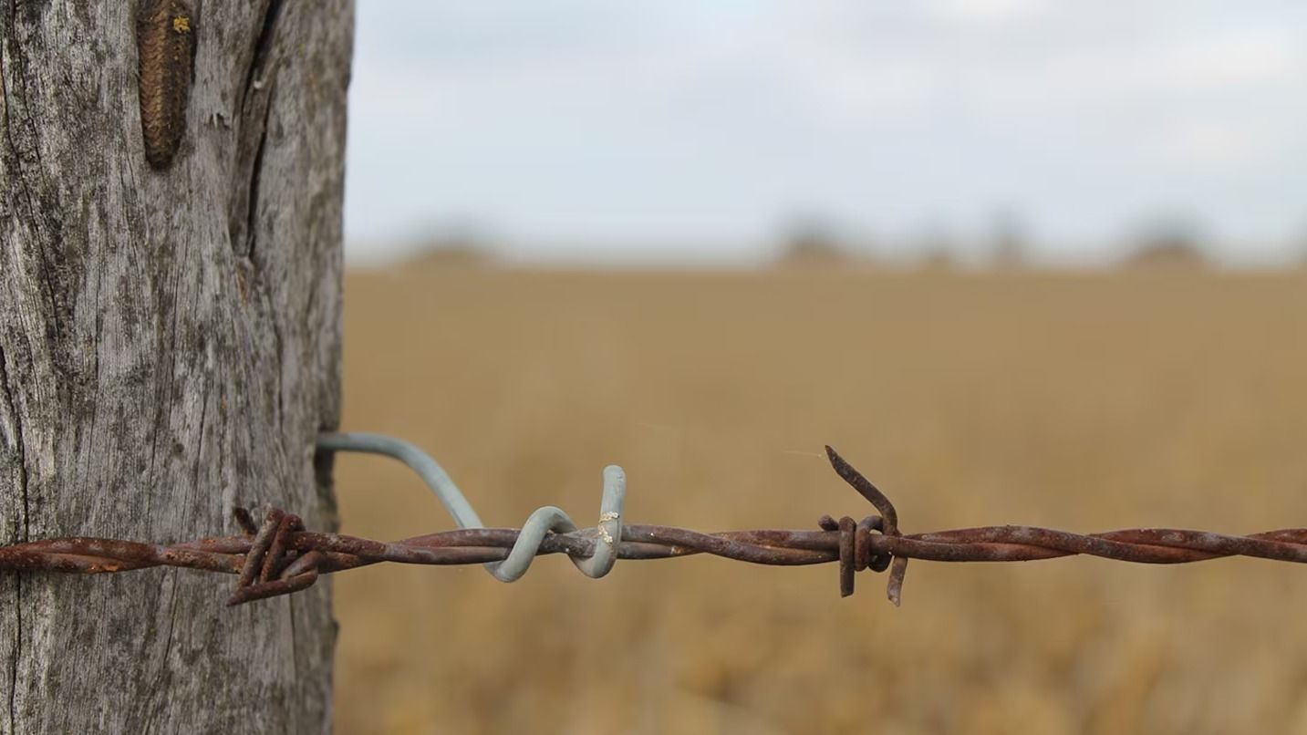 El agro argentino tomó préstamos por $4,1 billones en el primer semestre de 2025.