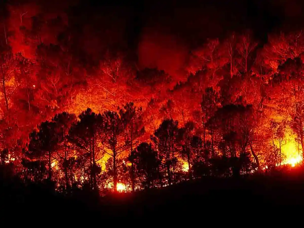 Chile: declararon toque de queda en 20 comunas del sur por los incendios forestales