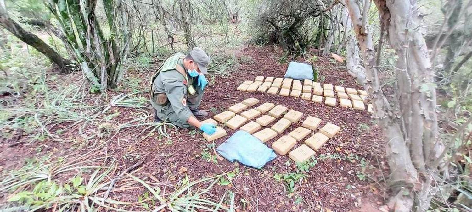 GN halló más de 42 kilos de 
marihuana ocultos entre malezas