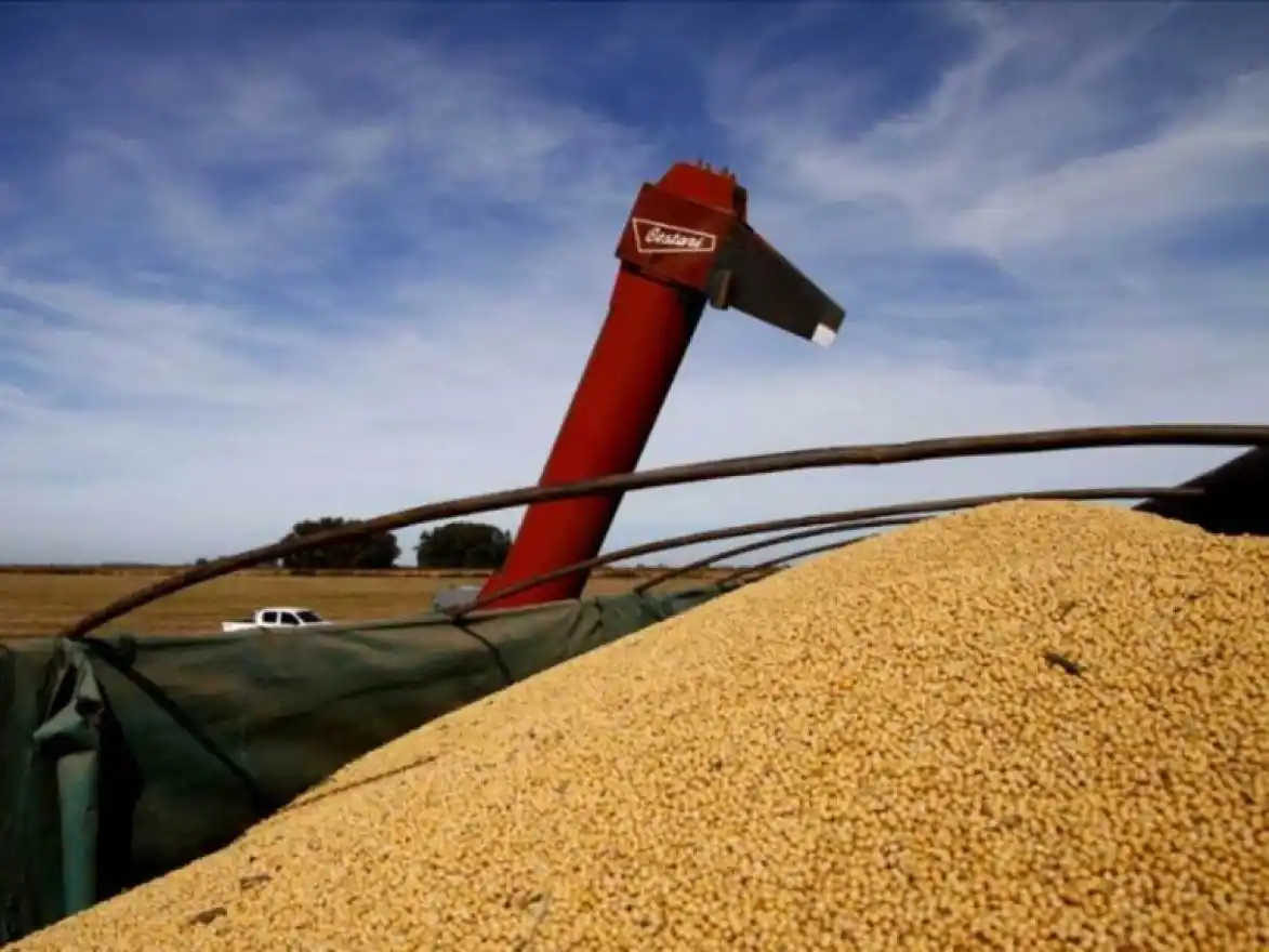 El Gobierno anunció una nueva baja de retenciones a las exportaciones de granos