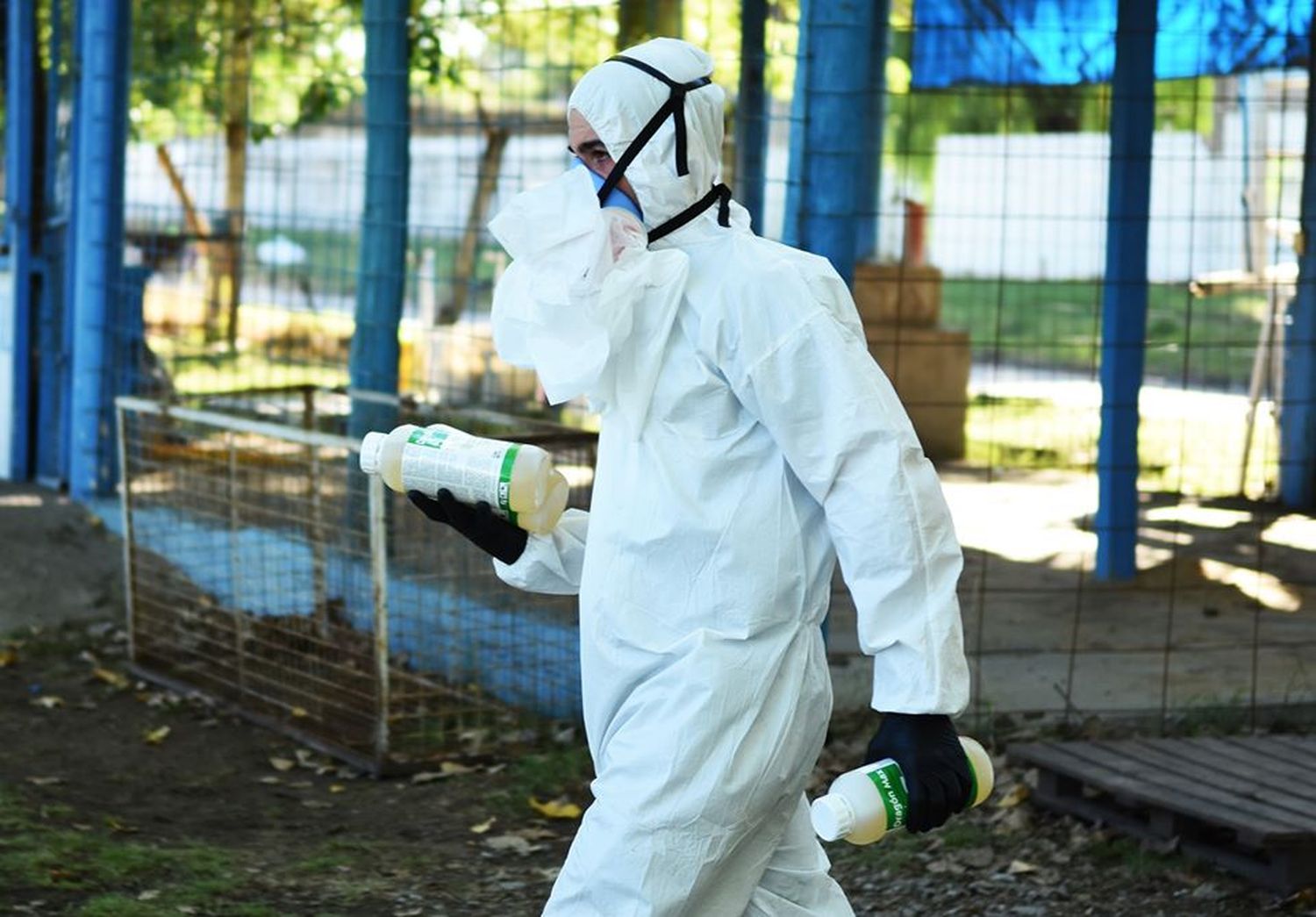 Invasión de mosquitos por la humedad y el calor de marzo