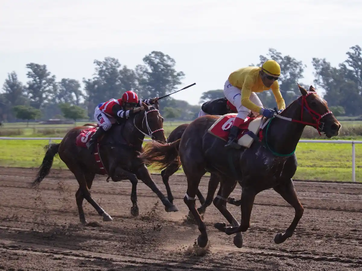  Humorada Halo festejó en el kilómetro