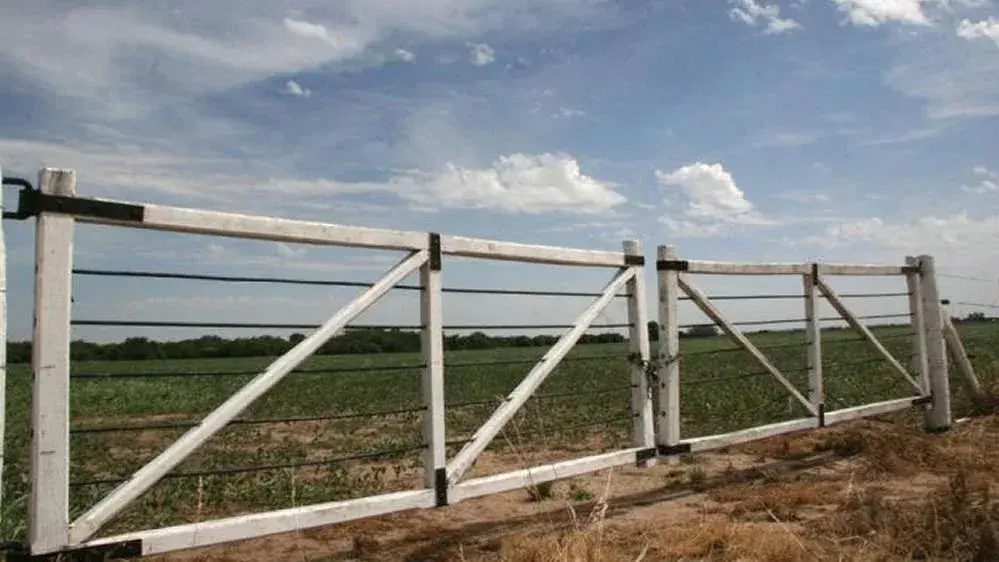 Otro caso. Delictivo se produjo en las últimas horas en un campo de la zona