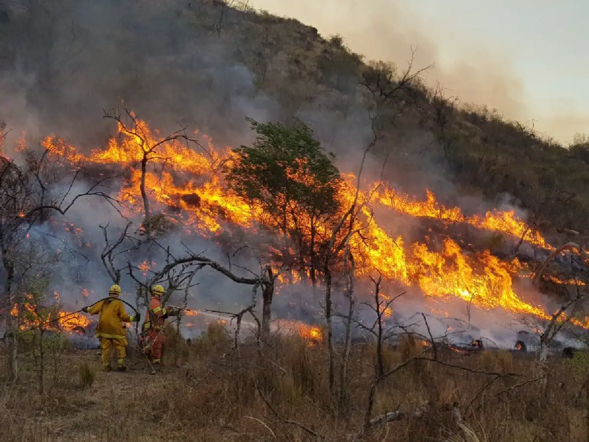 Diputados aprobó el proyecto que prohíbe la venta de campos incendiados intencionalmente