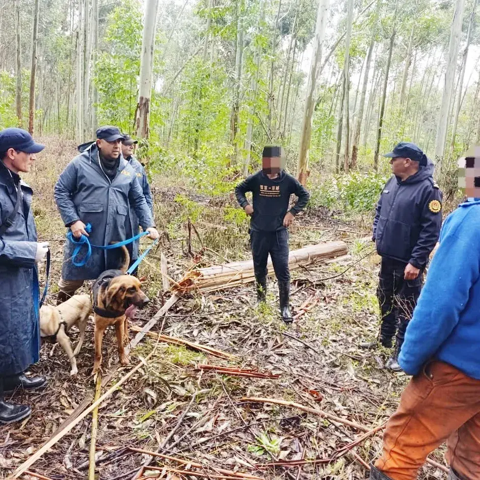 Canes localizaron en buen estado de salud a un hombre que era buscado en una zona rural