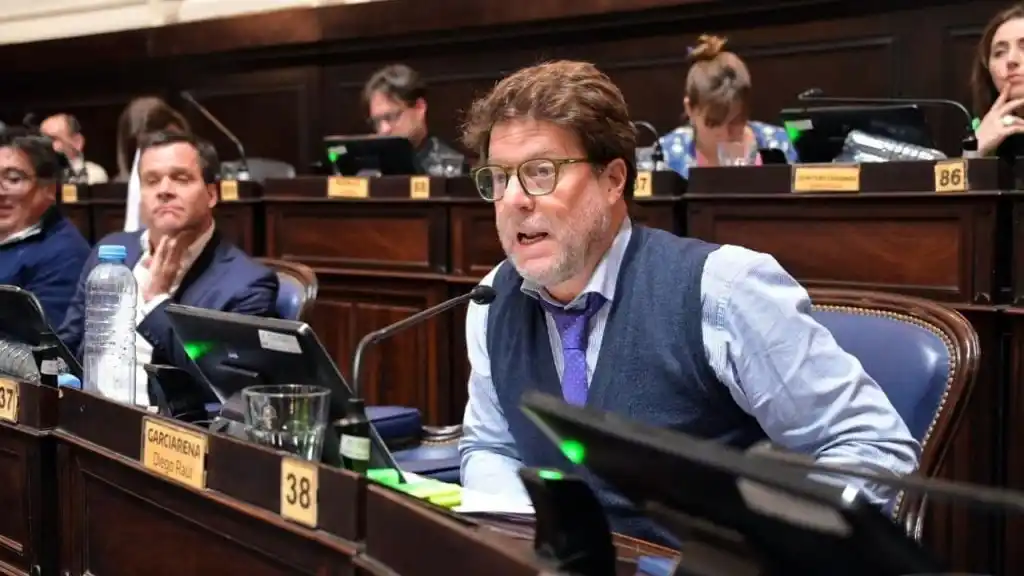 Diego Garciarena, autor del proyecto de ley.