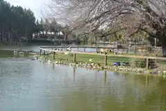 Pronostican un fin de semana primaveral en Gualeguay