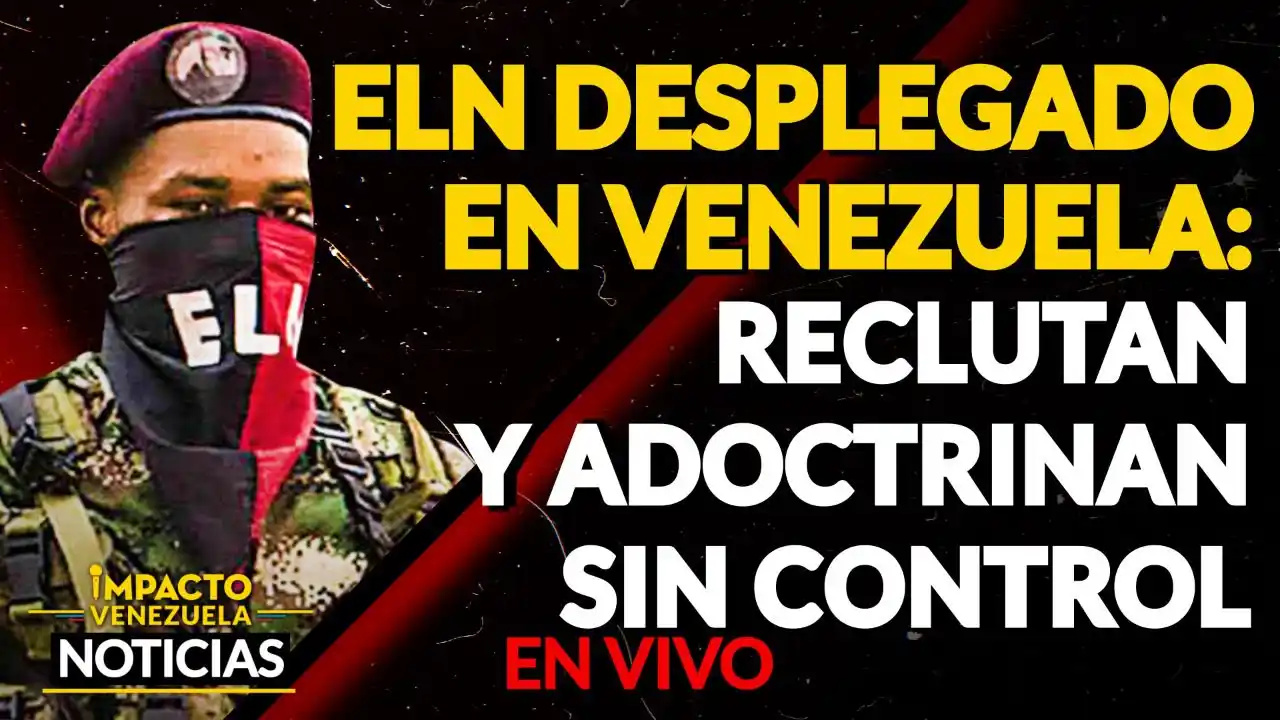 Defensores de DD. HH. alertan sobre avance del ELN en principales ciudades de Venezuela VIDEO – IMPACTO VENEZUELA
