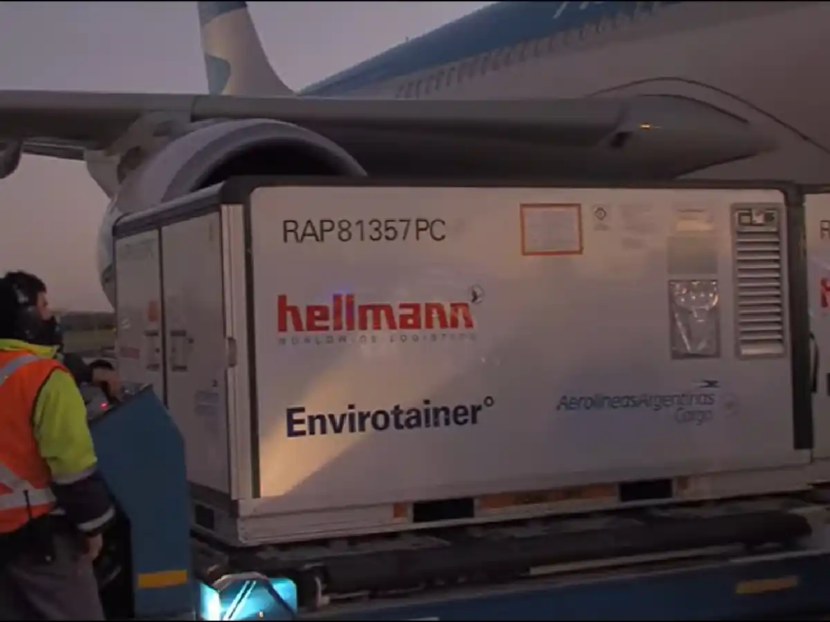 Llegaron más de 760 mil dosis de vacunas Sinopharm