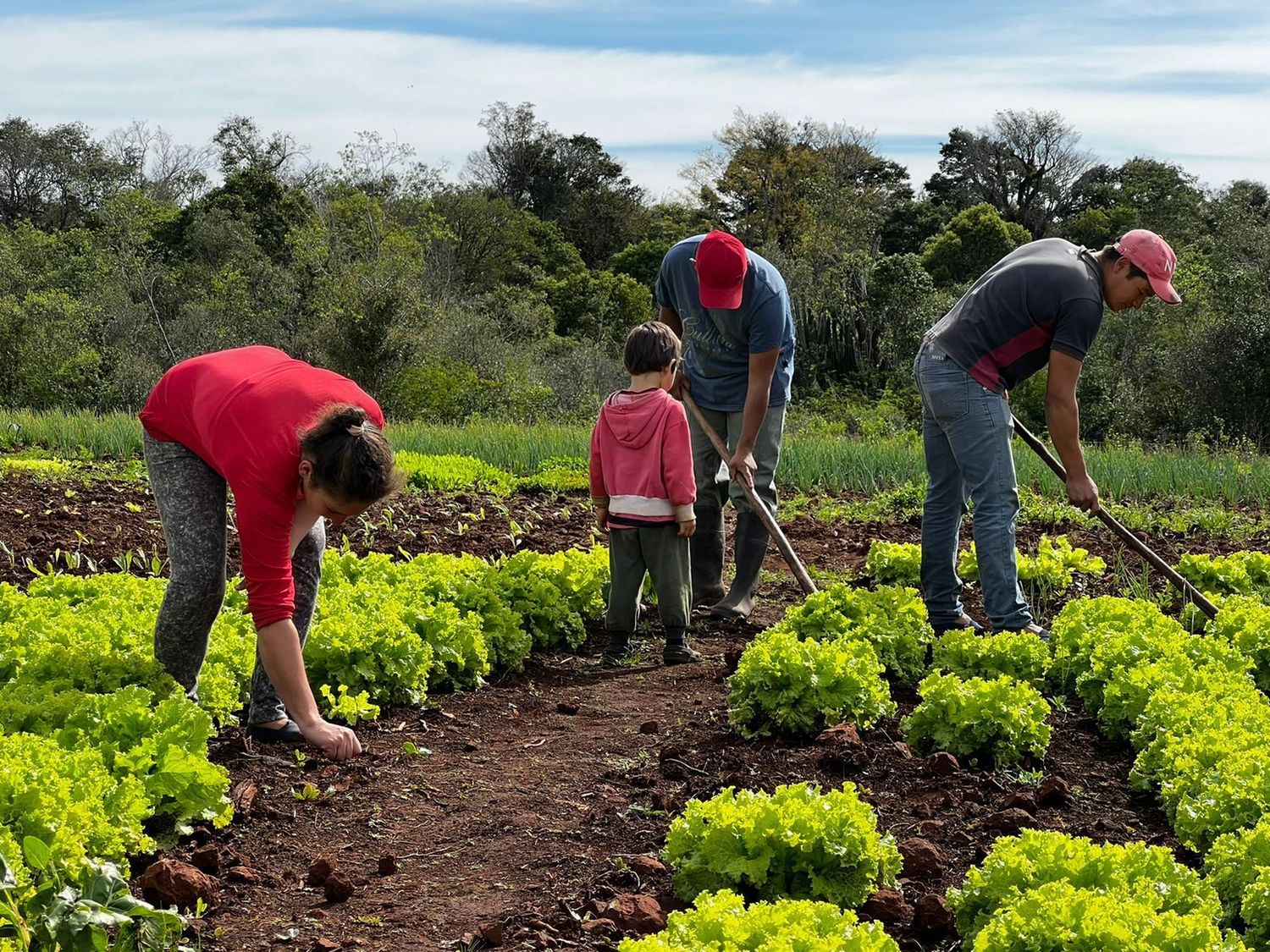 Un paso más hacia la soberanía alimentaria