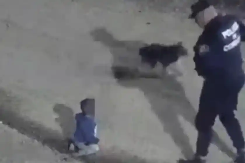 Video: un bebé se escapó de su casa gateando y fue encontrado por la Policía