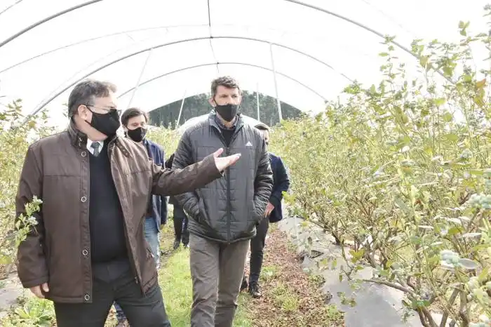 FRANCOLINI: �SFortalecer la producción es fortalecer la economía de toda la ciudad"