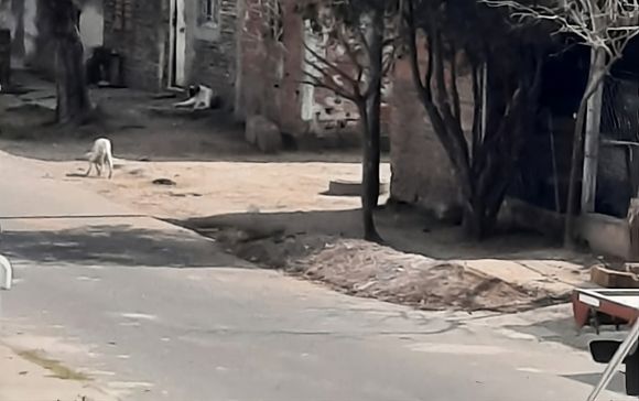 Otra vez, conflicto en el 2 de Abril: apuntan a “la misma familia de siempre” por robos y agresiones