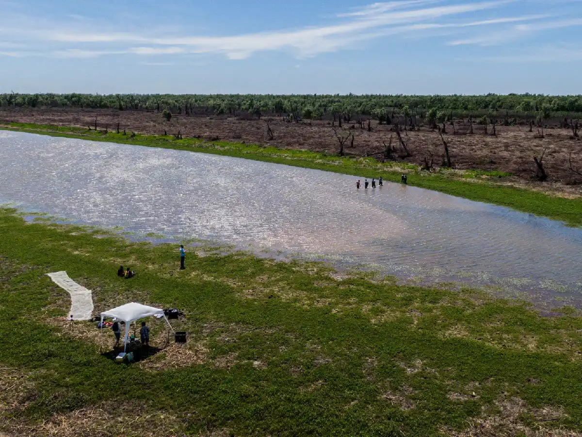 Buscan proteger la isla del Paraná que nació tras  el choque de dos barcos  