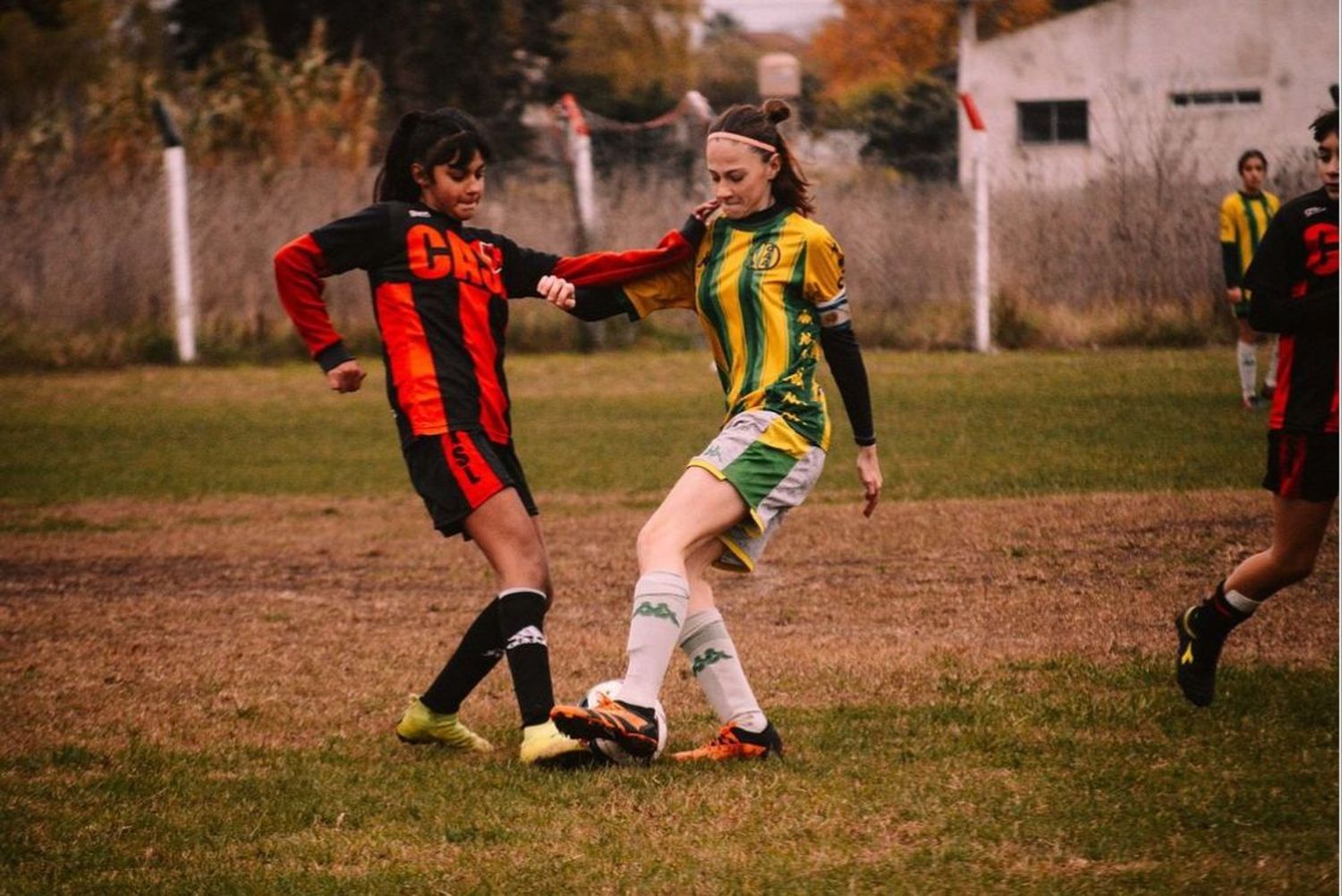 Aldosivi femenino