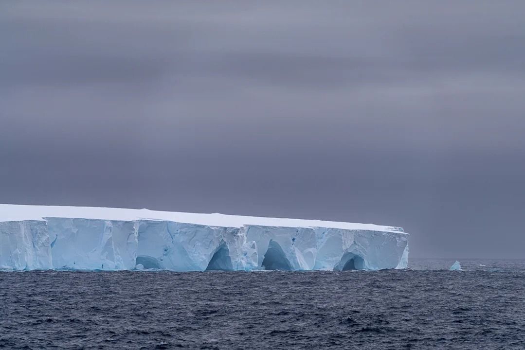 El iceberg más grande del mundo se desprendió de la Antártida y navega por el océano: investigan qué impacto tendrá