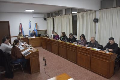 Proponen programa municipal sobre salud mental y adicciones