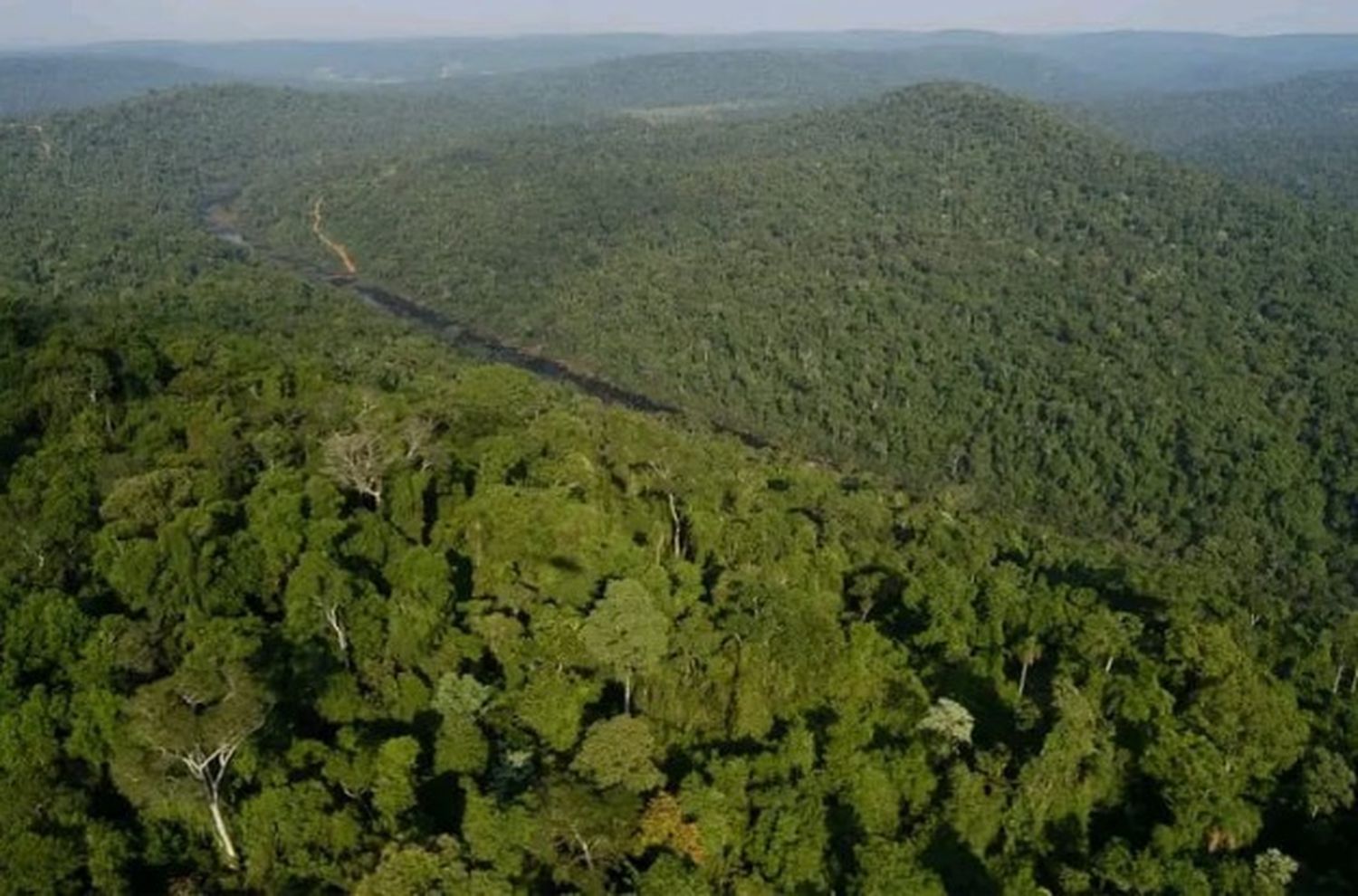 5 de Junio: Dia Mundial del Medio Ambiente