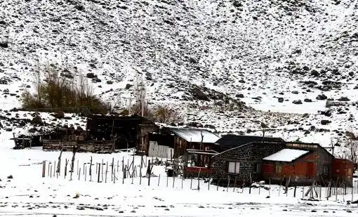 Neuquén declaró el “alerta máxima” y en Chile evacuarían al ganado