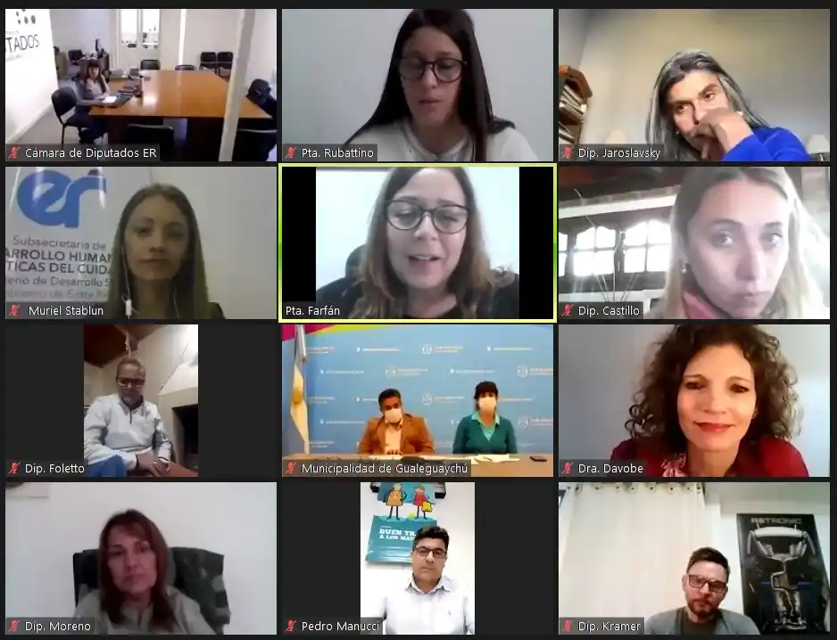 Diputados: Se trató en Comisiones el proyecto de ley de perspectiva de  género en espacios gerontológicos