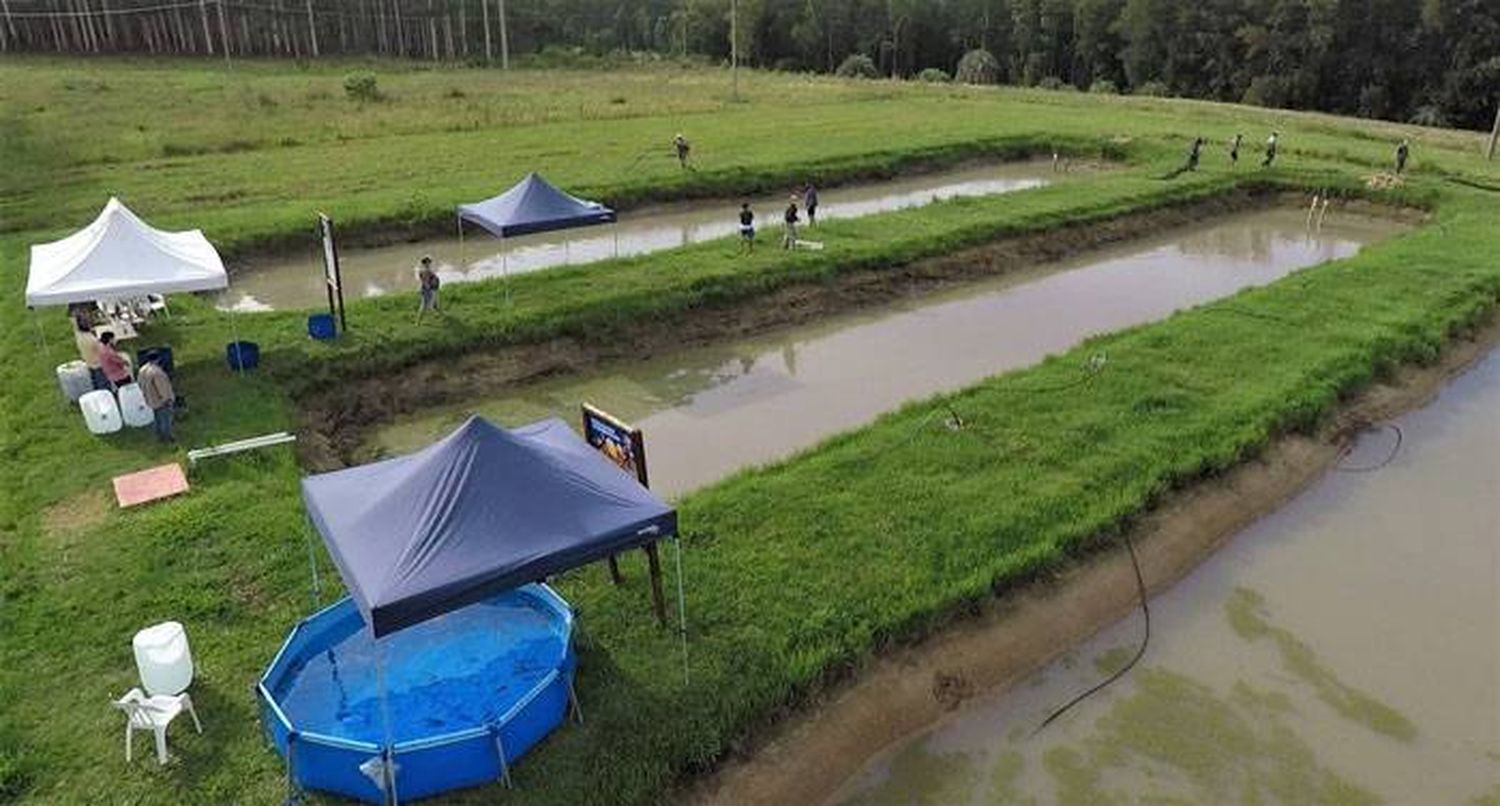 Una jornada para conocer sobre la producción de peces