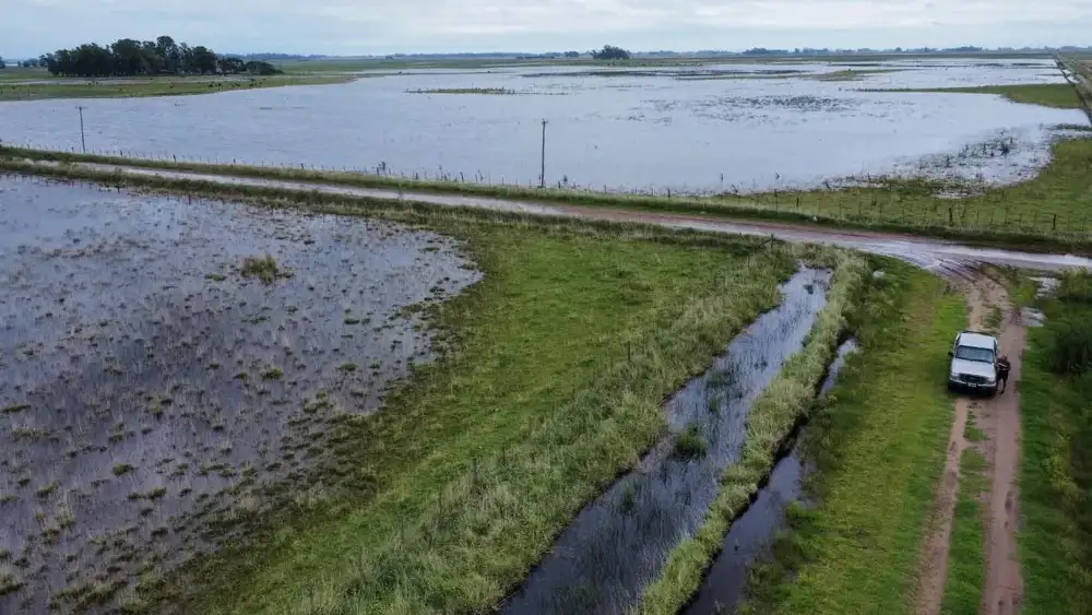 El Gobierno nacional oficializó la declaración de la emergencia agropecuaria en Nueve de Julio y zonas de Necochea.