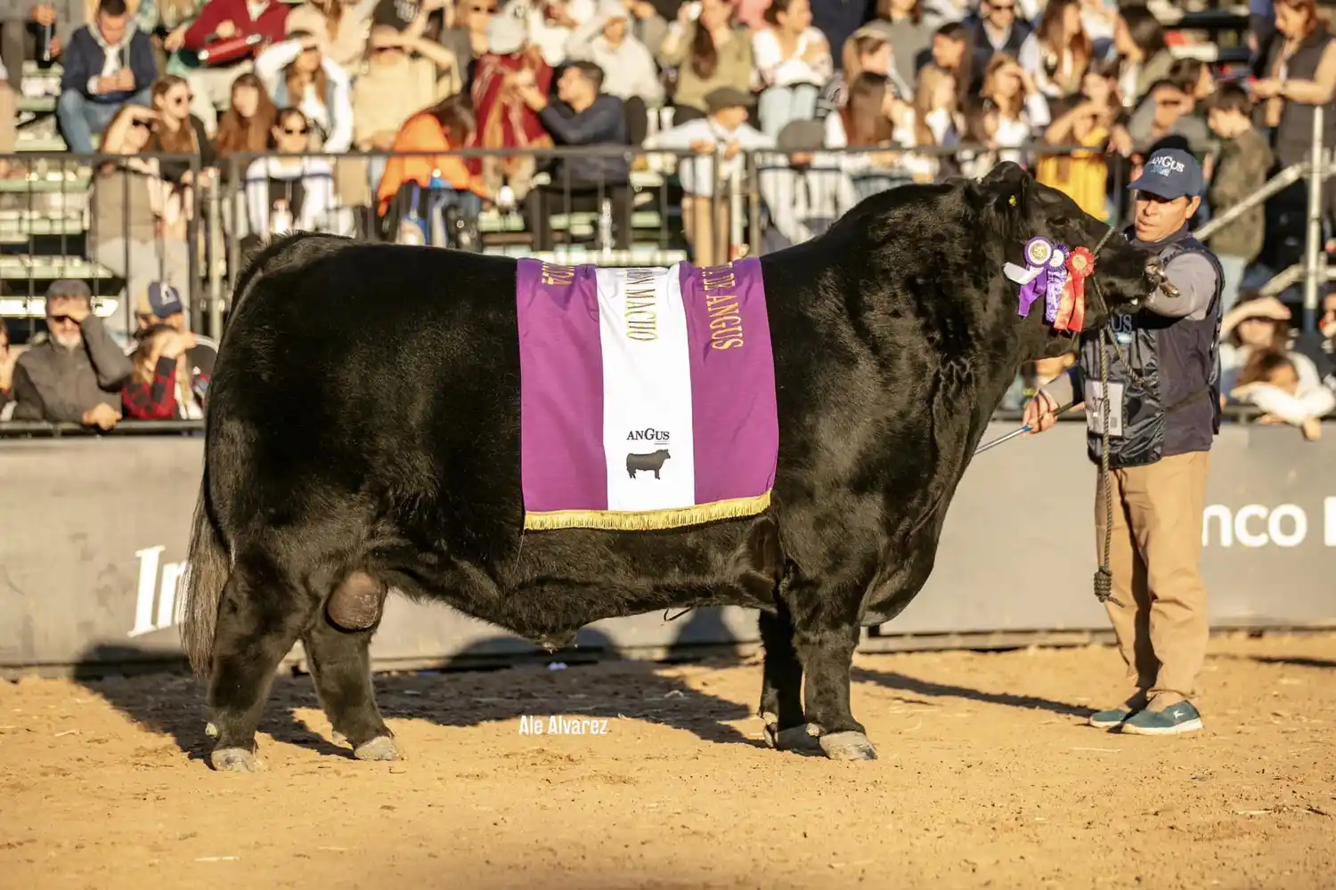 Un remate con sangre de campeones
