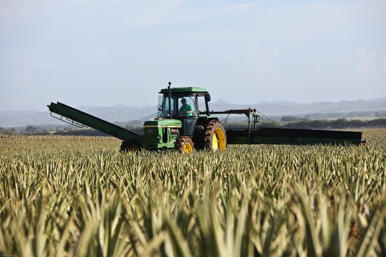 Tractores usados: Qué aspectos tener en cuenta a la hora de elegir