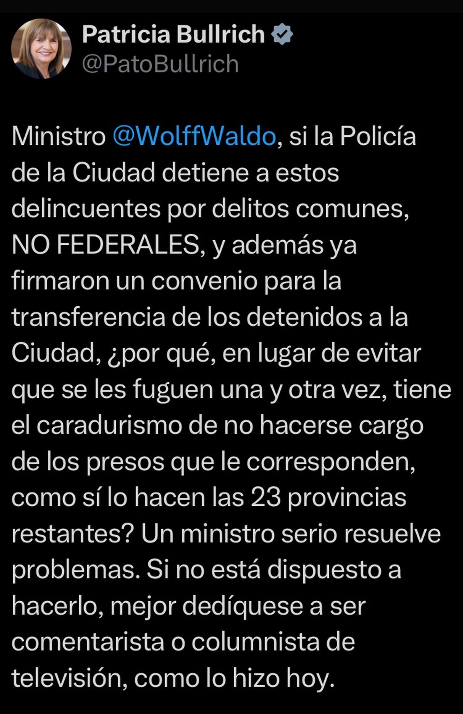 El ataque de la ministra Bulrich