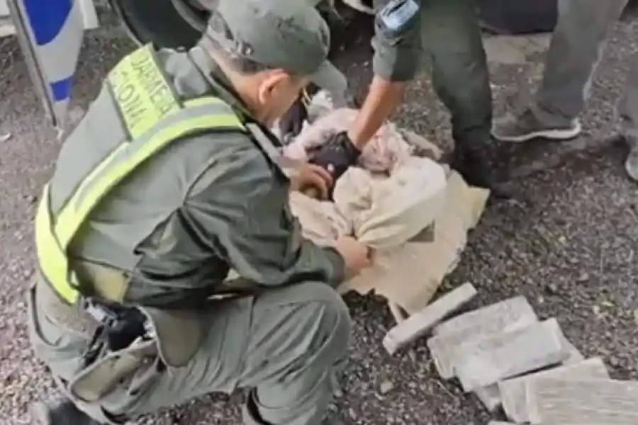 De Formosa a Santa Fe: Gendarmería incautó 26 kilos de marihuana
