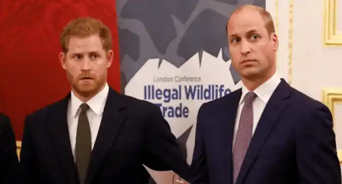 William y Harry siempre tuvieron una estrecha relación. Foto AFP
