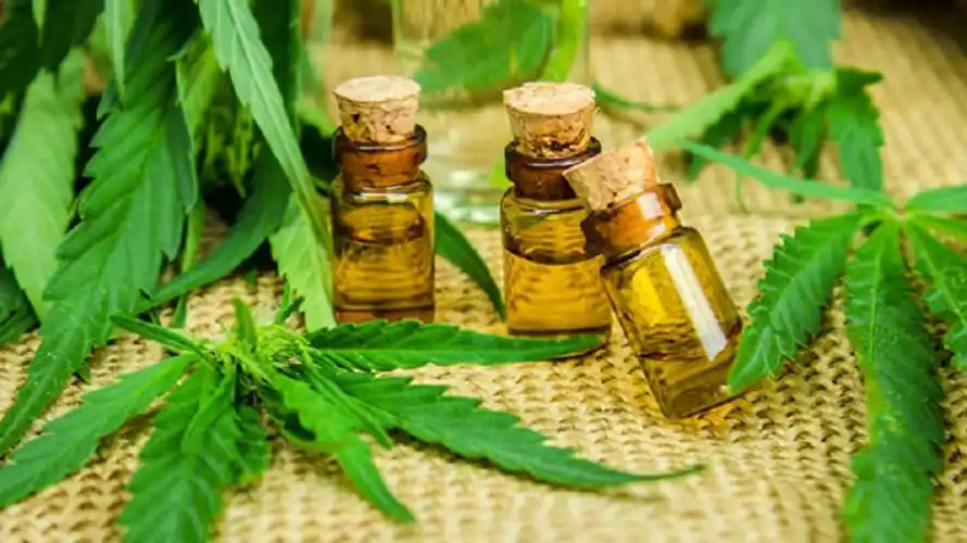 Unas 5 mil farmacias facilitarán la importación de aceite de cannabis