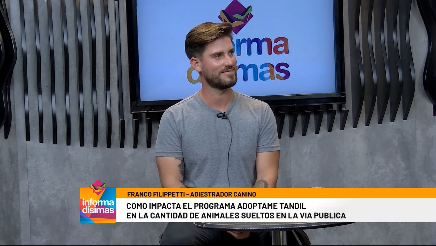 ¿Cómo impacta el programa "Adoptame Tandil" en la cantidad de animales sueltos en la vía publica?