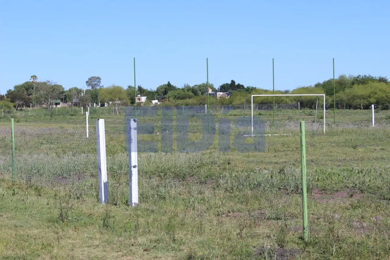 Indignante: Fueron al club y se encontraron sin el alambrado