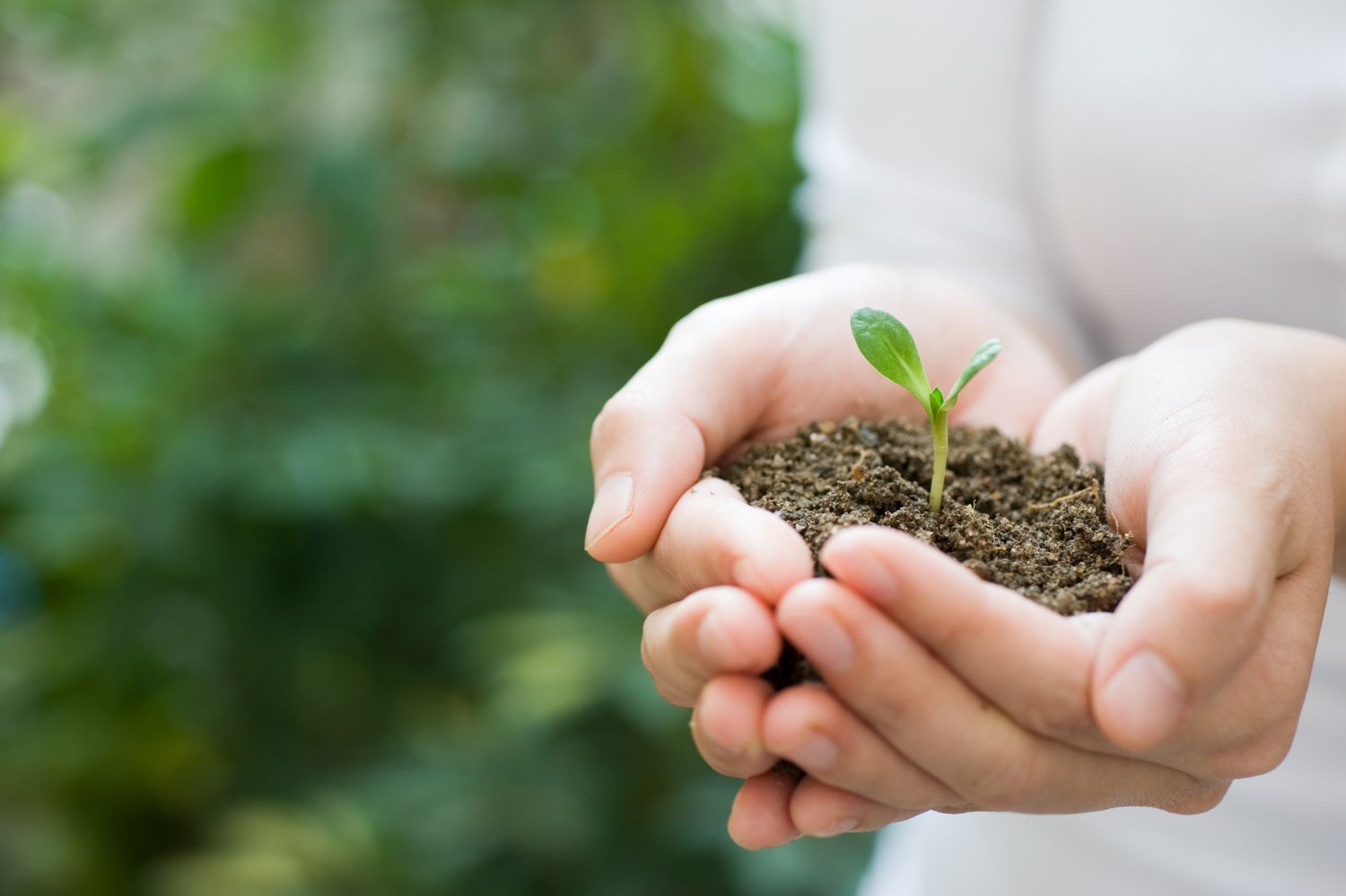 Hoy se conmemora el Día mundial del medio ambiente