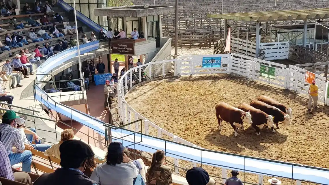 La hacienda volvió a subir en marzo y se consolida la firmeza del mercado