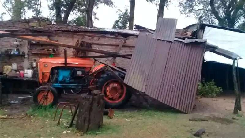 Voladura de techos y caída de árboles: Las consecuencias de la tormenta en Entre Ríos