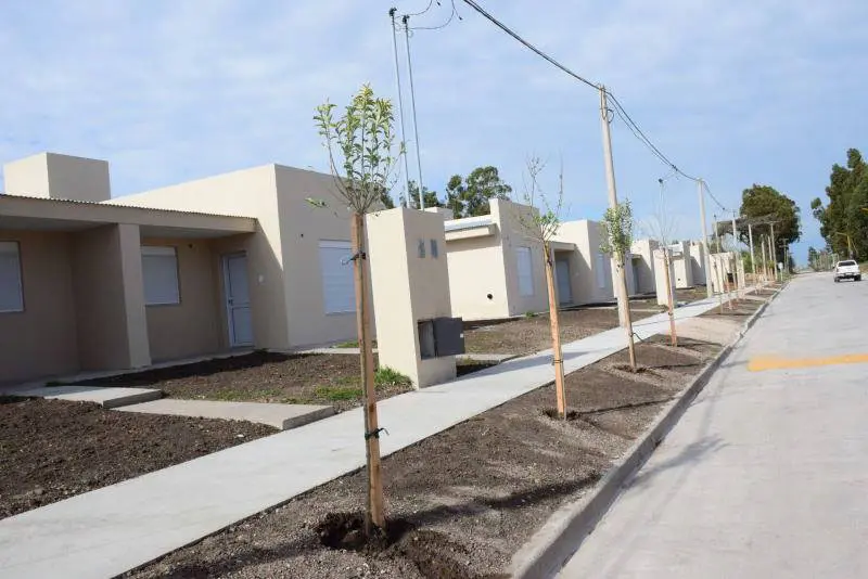 SAN CAYETANO: Colocan árboles frente a viviendas