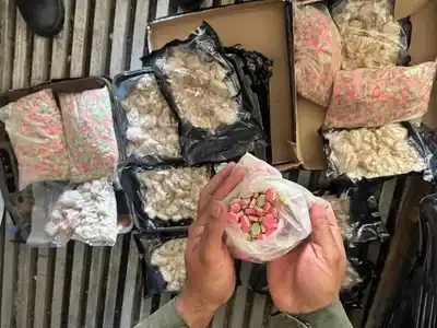 Ruta Nº 14: decomisaron 8 kilos de metanfetaminas que pasaban en encomienda por Entre Ríos