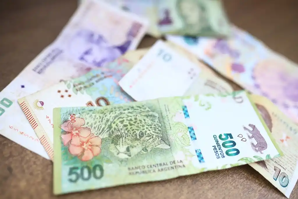 René Favaloro es el argentino que desplazaría a los animales en los billetes