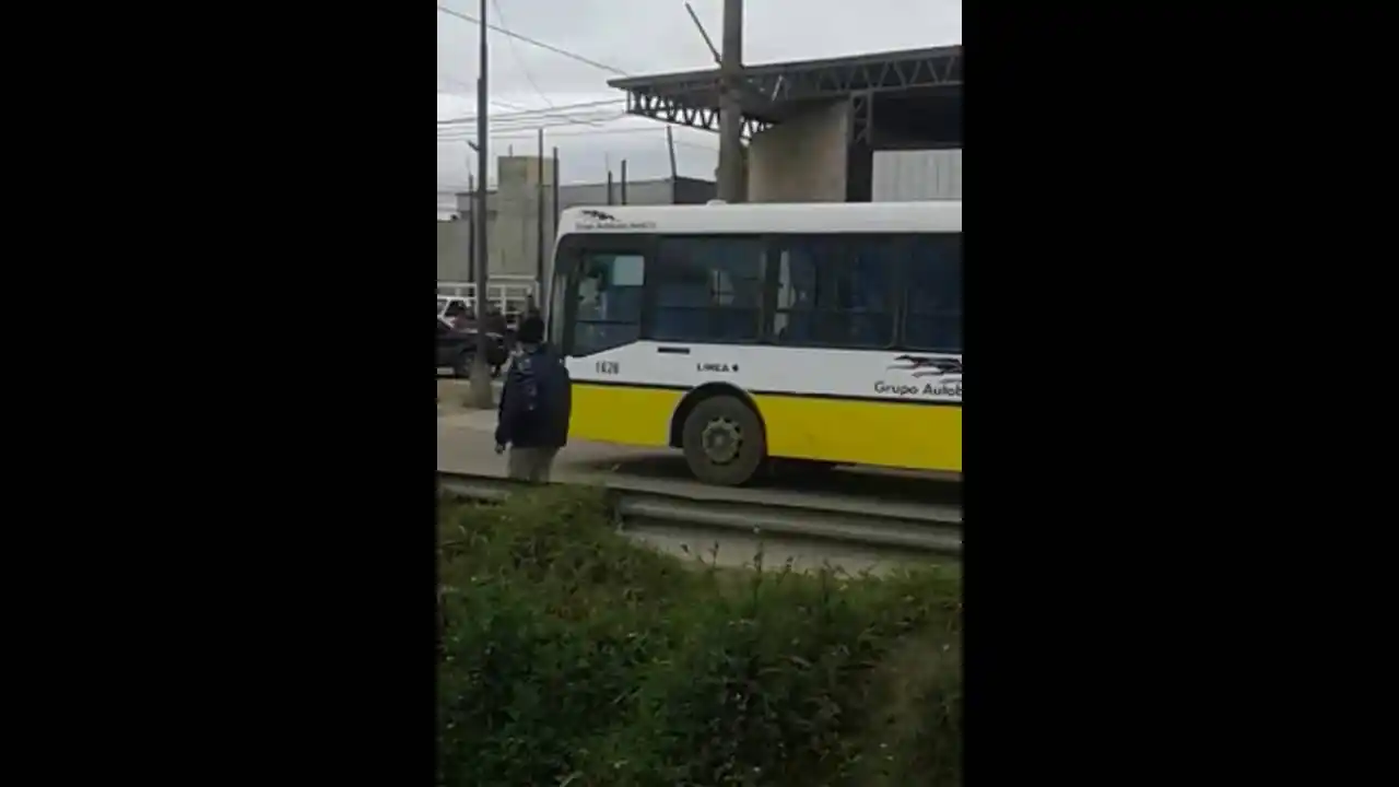 Una mujer murió atropellada