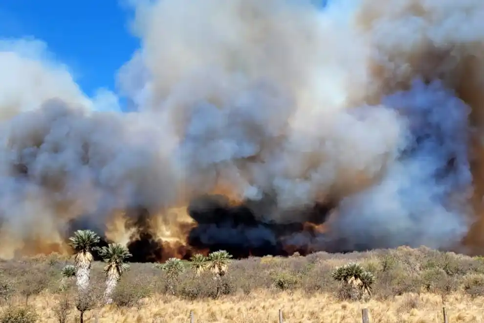 En toda la provincia, todavía rige una alerta por riesgo de incendios extremos.