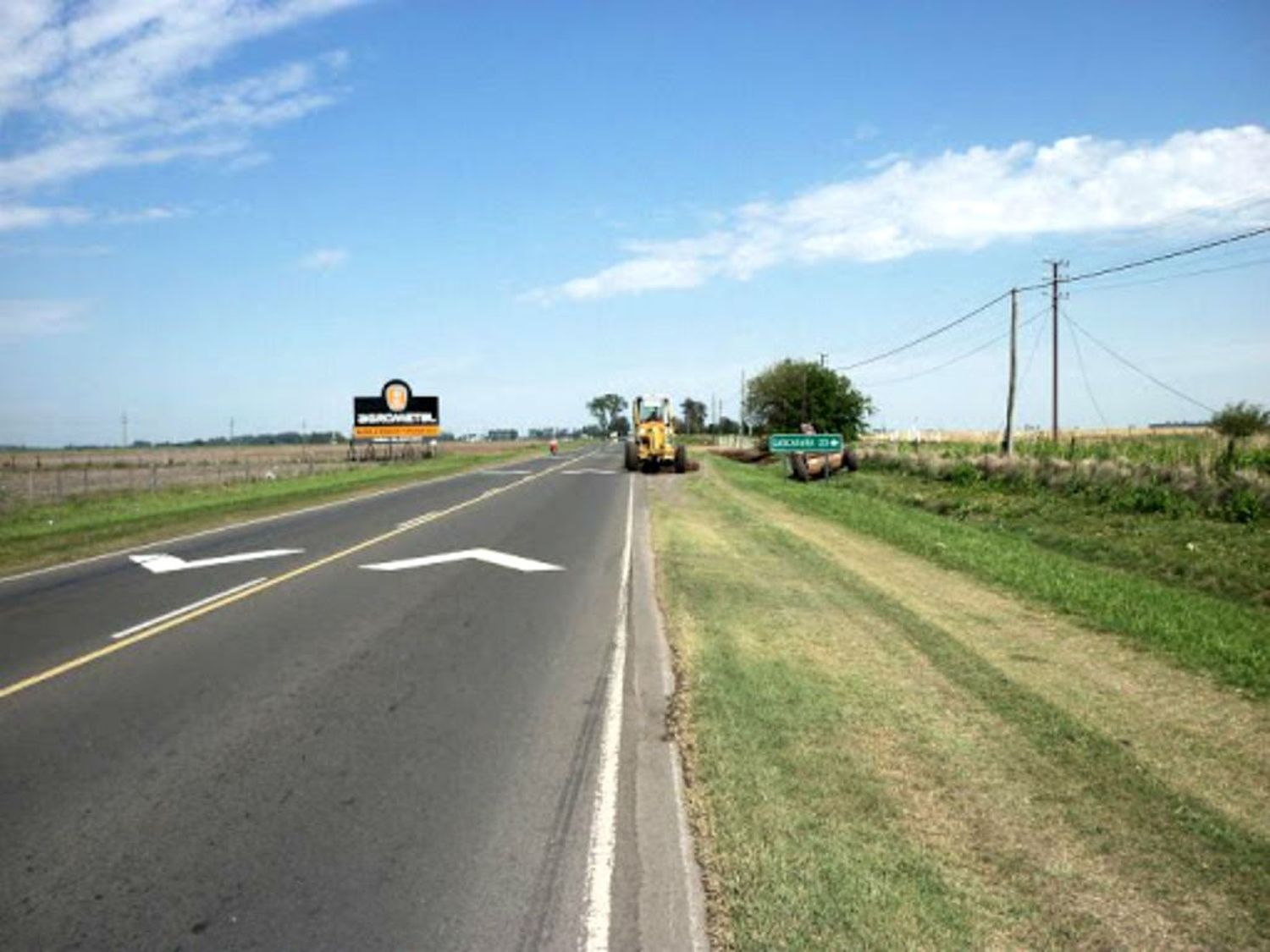 Proponen forestar las márgenes de las rutas 