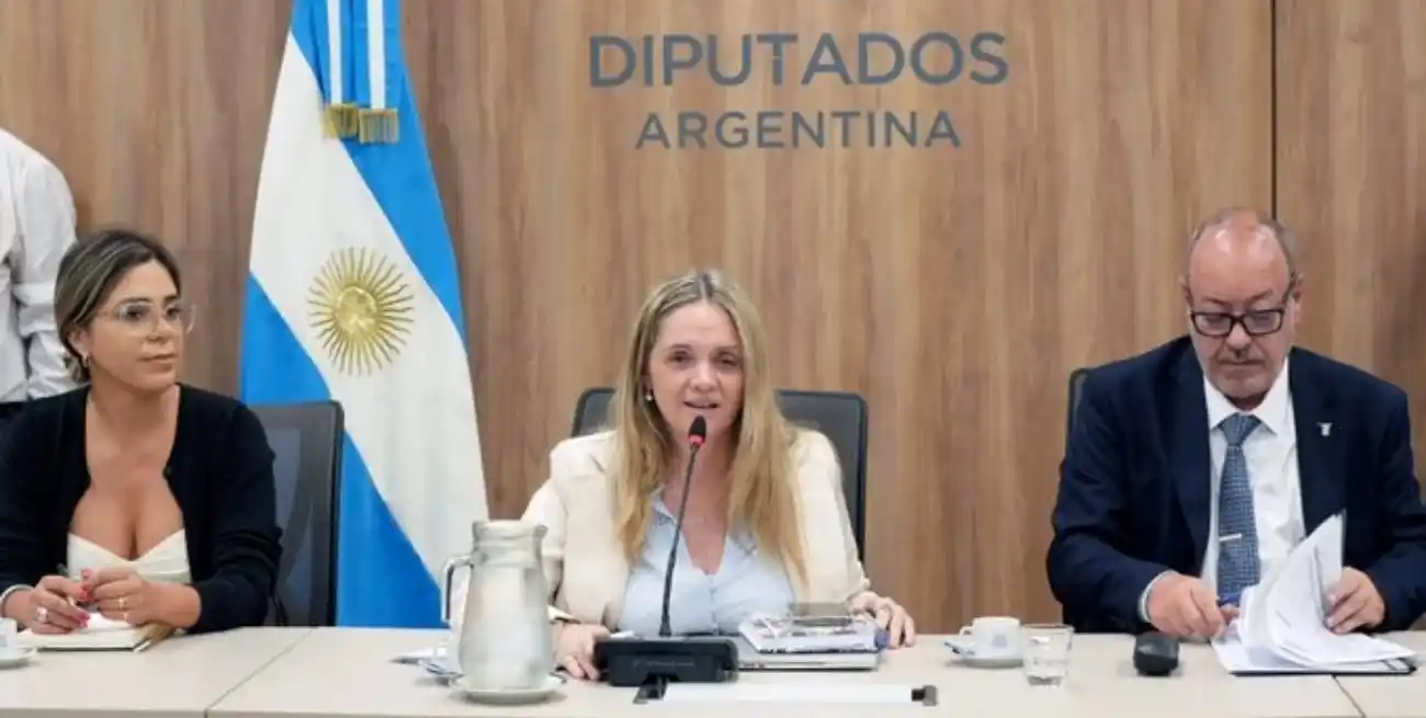 La libertaria salteña Gabriela Flores quedó al frente de Familias y Niñez, que deberá evaluar el proyecto que baja la edad de imputabilidad. Foto: HCDN.